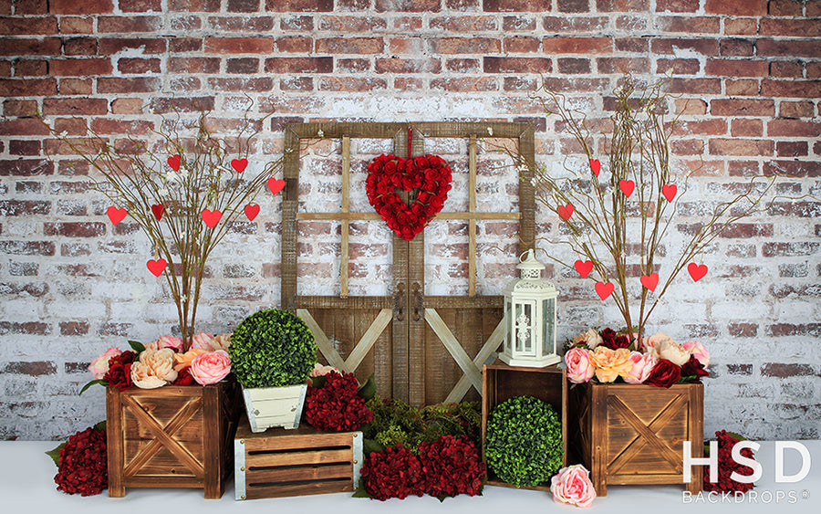 Queen of Hearts - HSD Photography Backdrops 