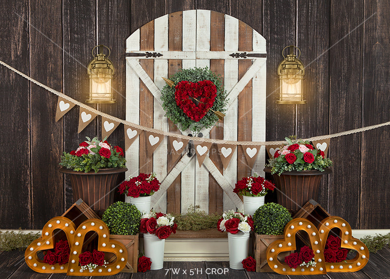 Valentine's Day Door - HSD Photography Backdrops 