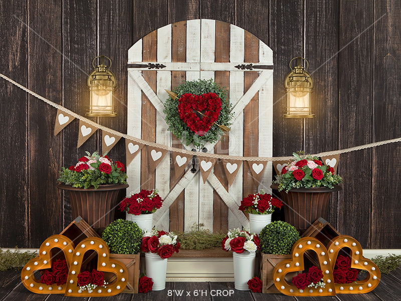 Valentine's Day Door - HSD Photography Backdrops 