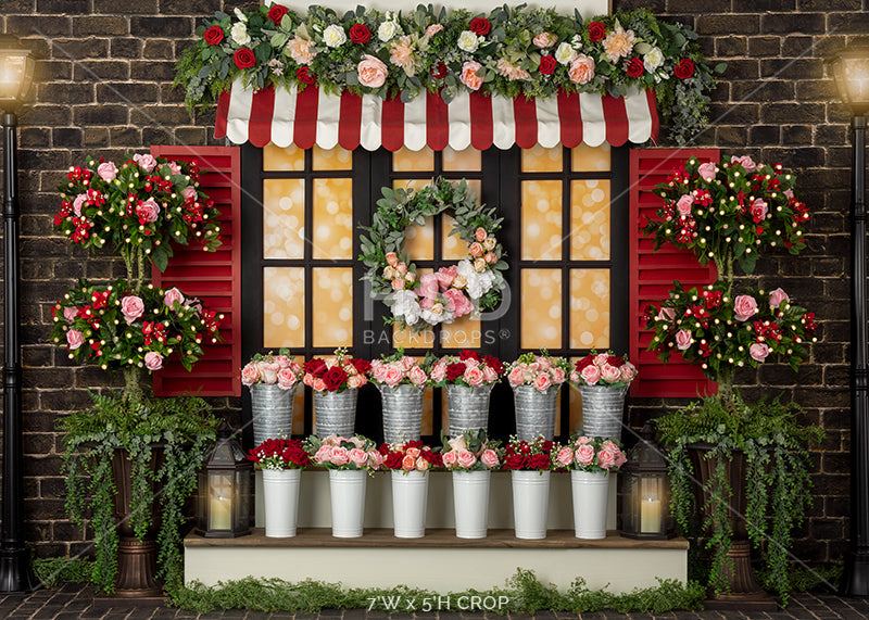Valentine's Day Window - HSD Photography Backdrops 