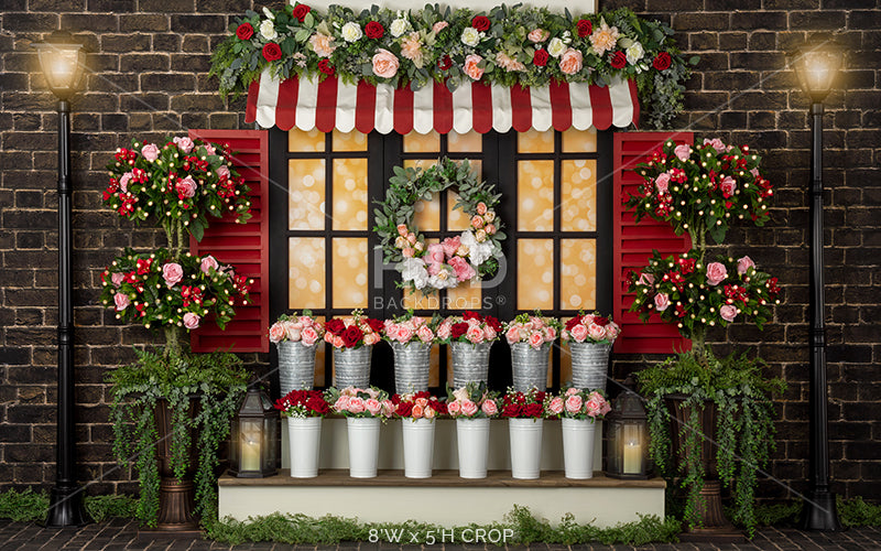 Valentine's Day Window - HSD Photography Backdrops 
