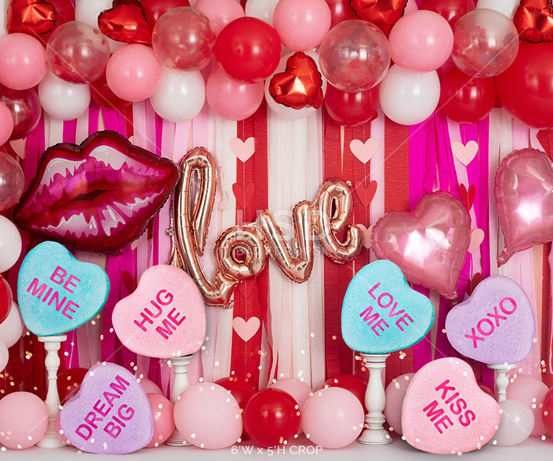 Valentine's Party - HSD Photography Backdrops 