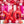 My Sweet Valentine - HSD Photography Backdrops 