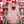 Valentine's Day Store Front Photo Backdrop for Photography