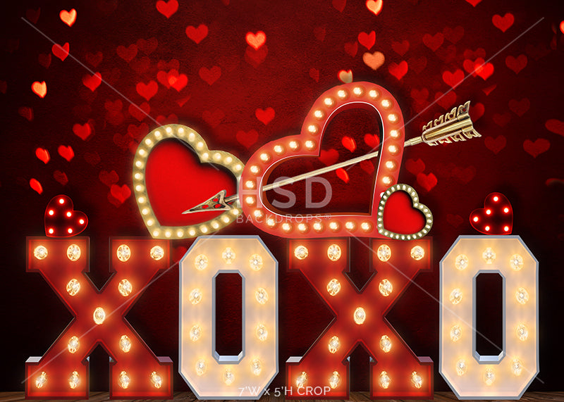 Valentine's Day Backdrop for Photography | XOXO Marquee Lights