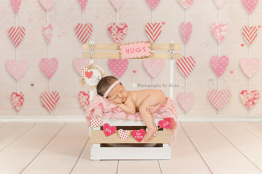 Hanging Hearts - HSD Photography Backdrops 