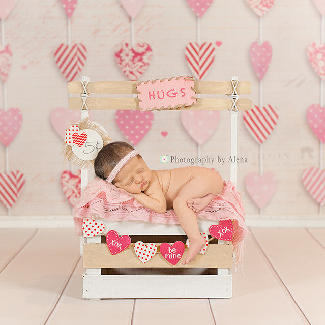 Hanging Hearts - HSD Photography Backdrops 