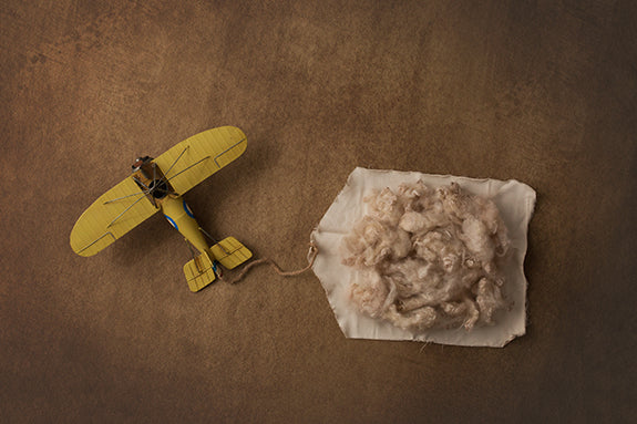 Vintage Airplanes Collection | Digital - HSD Photography Backdrops 