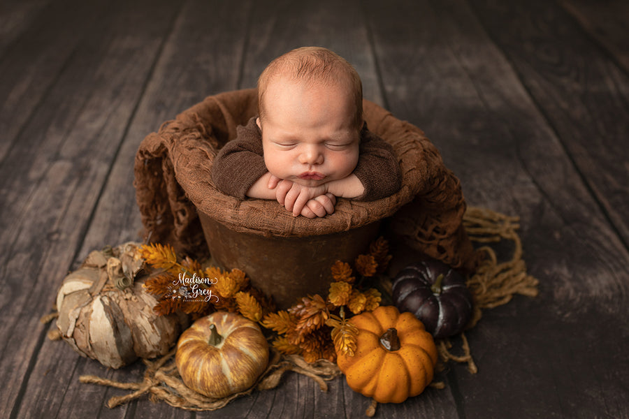 Lewiston - HSD Photography Backdrops 