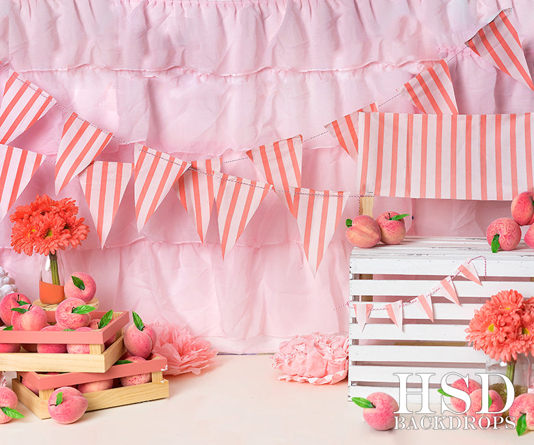 Photography Backdrop Background | Peachy Keen Set Up - HSD Photography Backdrops 