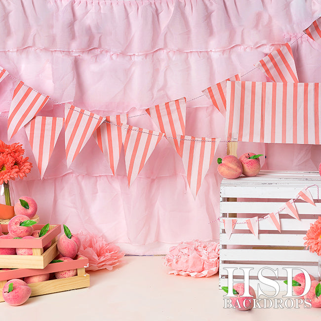 Photography Backdrop Background | Peachy Keen Set Up - HSD Photography Backdrops 