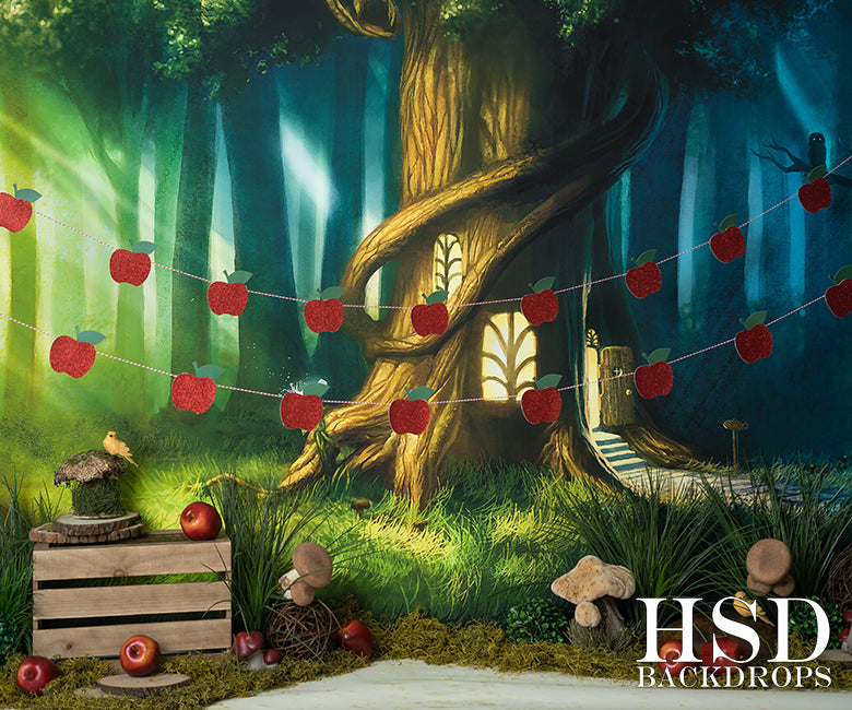 Mystical Forest Set Up - HSD Photography Backdrops 