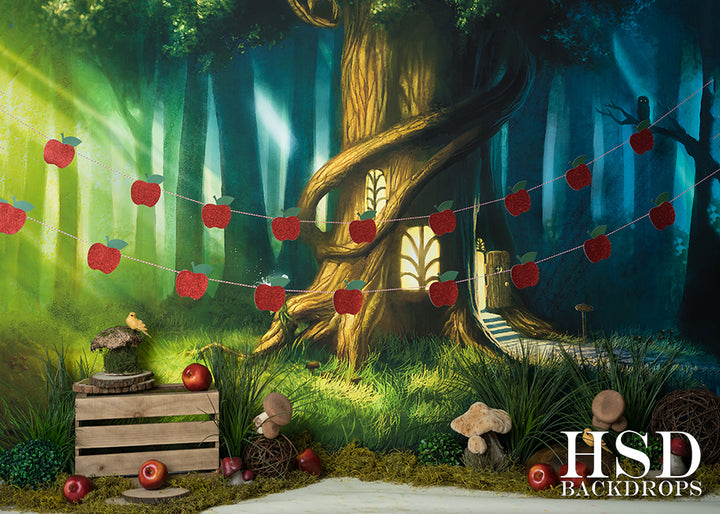 Mystical Forest Set Up - HSD Photography Backdrops 