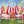 Circus Theme - HSD Photography Backdrops 