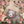 Woodland Forest Animals (pink) - HSD Photography Backdrops 