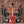Rock and Roll - HSD Photography Backdrops 