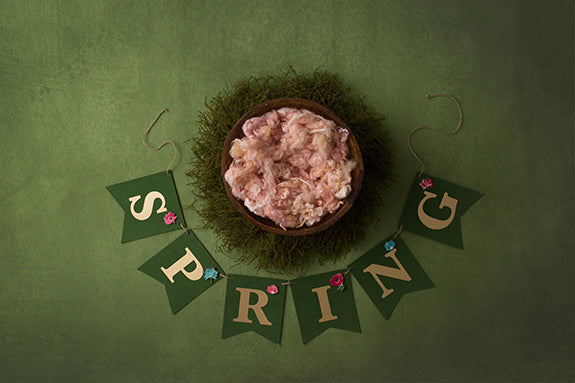 Spring Banner | Wings Of Enchantment Coll. | Digital - HSD Photography Backdrops 