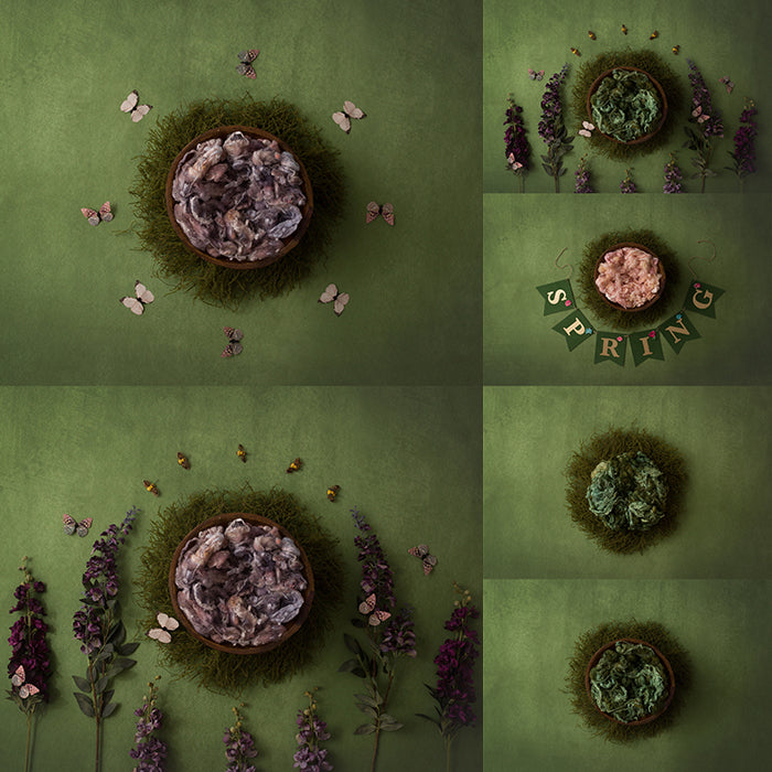 Wings of Enchantment Collection | Digital - HSD Photography Backdrops 