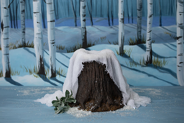 Winter Blues Stump | Digital - HSD Photography Backdrops 