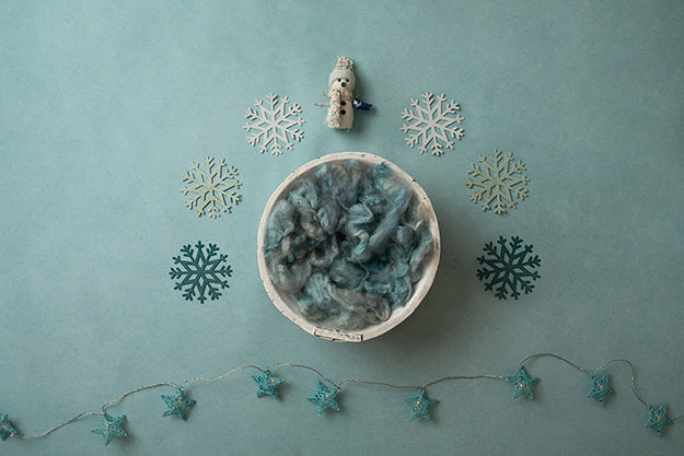Winter Frost | Winter Wonderland Coll. | Digital - HSD Photography Backdrops 