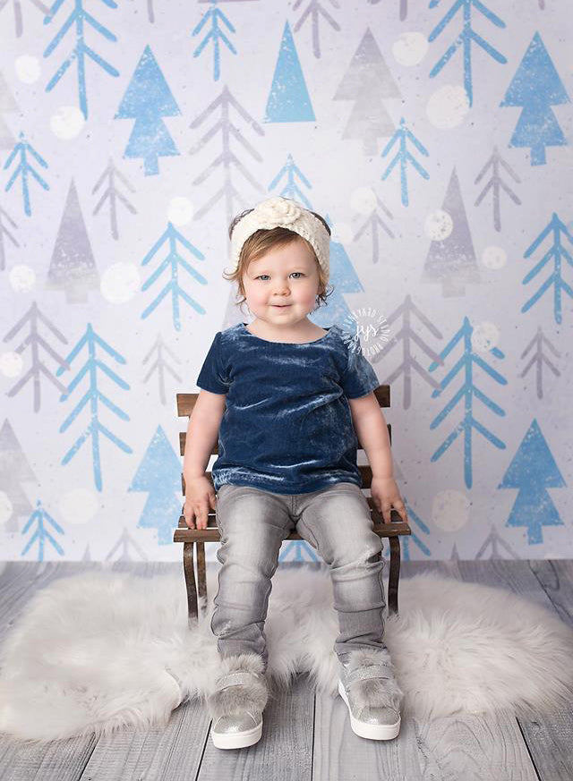Frosty Forest - HSD Photography Backdrops 