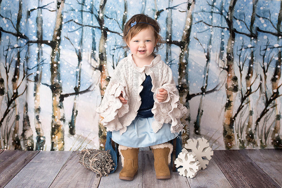 Winter | Winter Landscape - HSD Photography Backdrops 