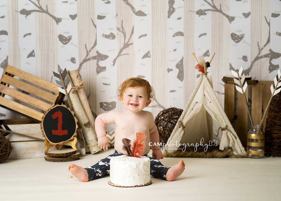 Woodland Birch Trees - HSD Photography Backdrops 