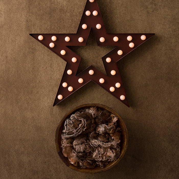 Wrangler | Rustic Star Coll. | Digital - HSD Photography Backdrops 