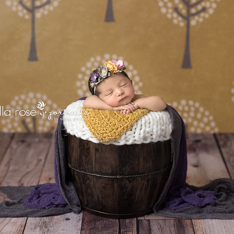 Autumn Grove - HSD Photography Backdrops 