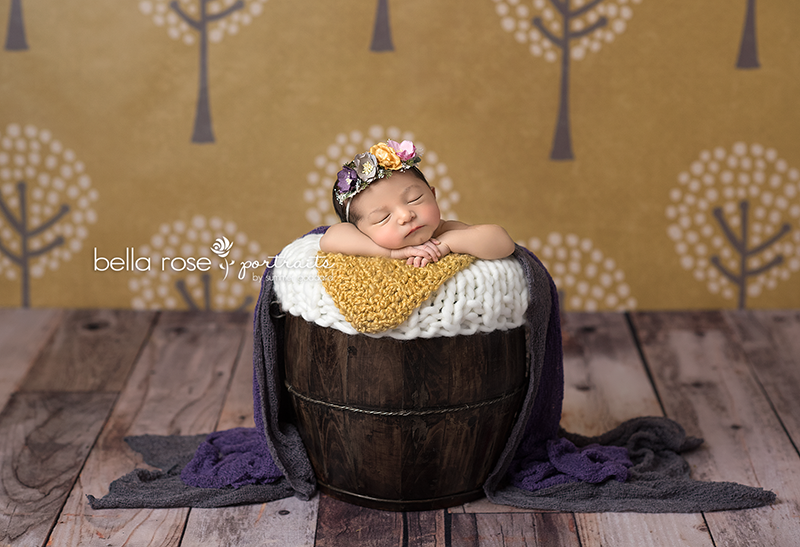 Autumn Grove - HSD Photography Backdrops 