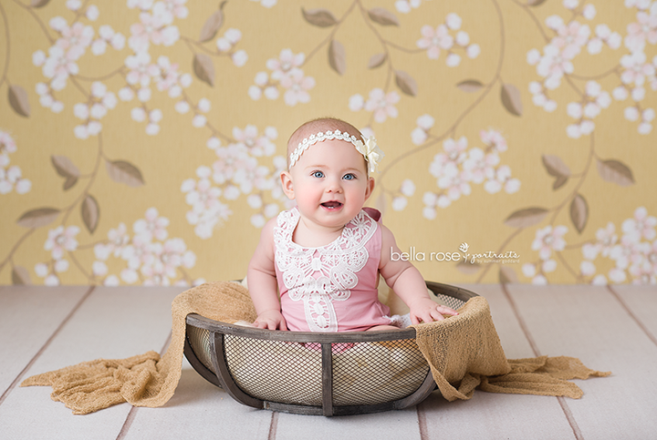 Savannah - HSD Photography Backdrops 