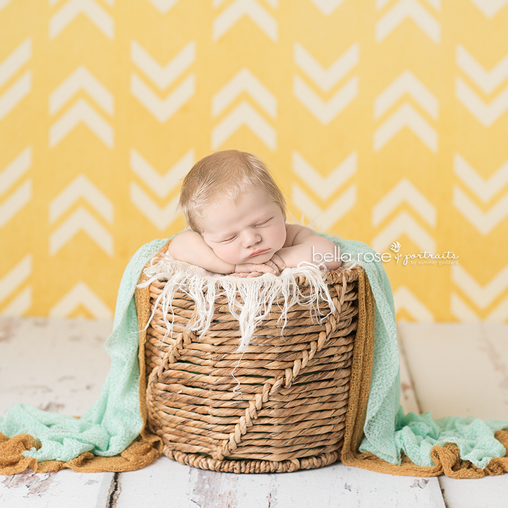 Owen - HSD Photography Backdrops 