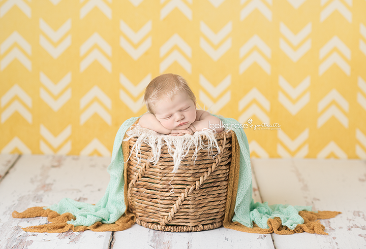 Owen - HSD Photography Backdrops 