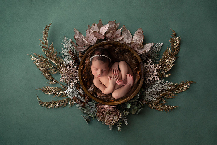 Yuletide I | Digital - HSD Photography Backdrops 