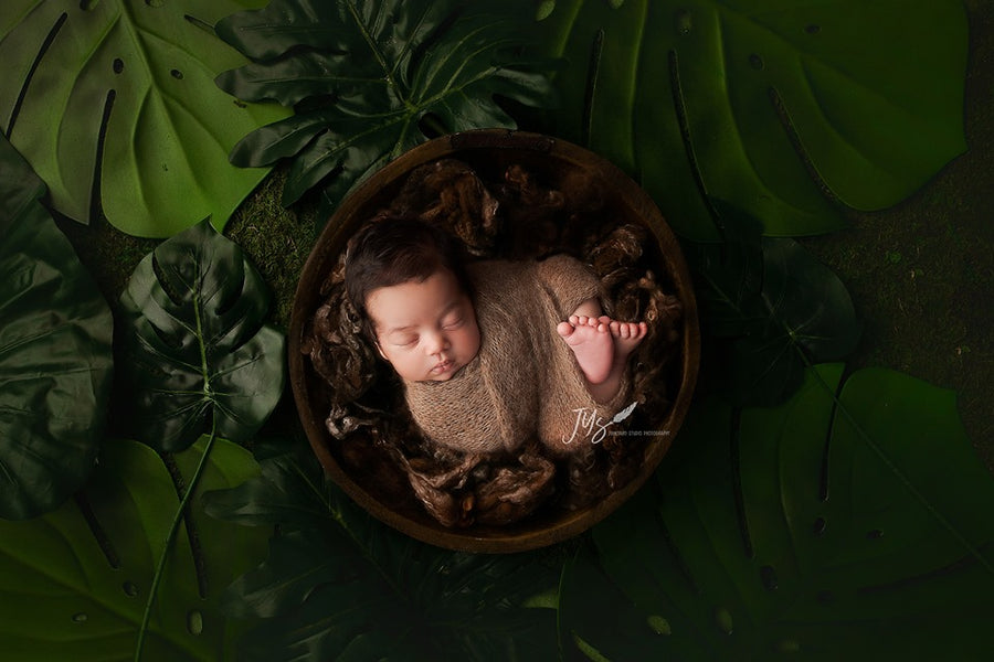 Newborn Digital Backdrop | In to the Wild I - HSD Photography Backdrops 